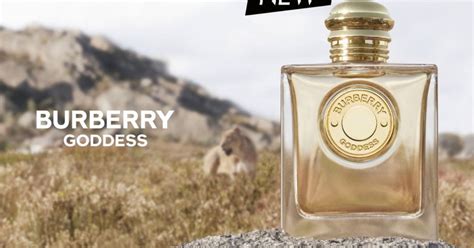 mr burberry fragrance sample|Burberry goddess perfume boots.